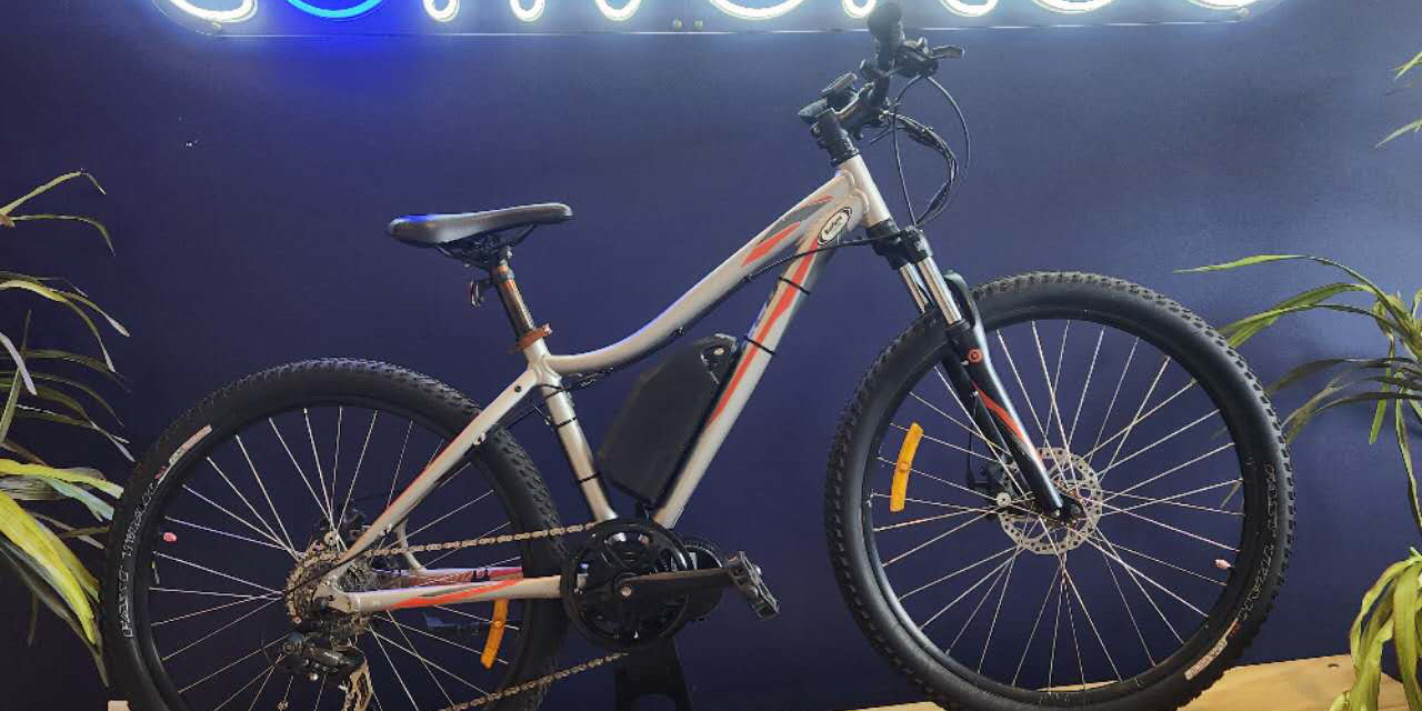 2916 Specialized Myka Electric Bike Conversion