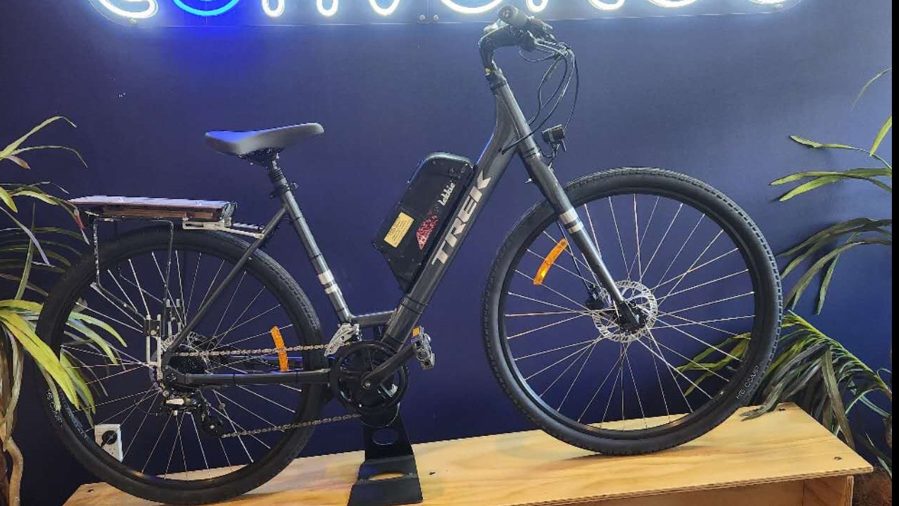 2021 Trek Verve 2 Low-Step electric bike conversion