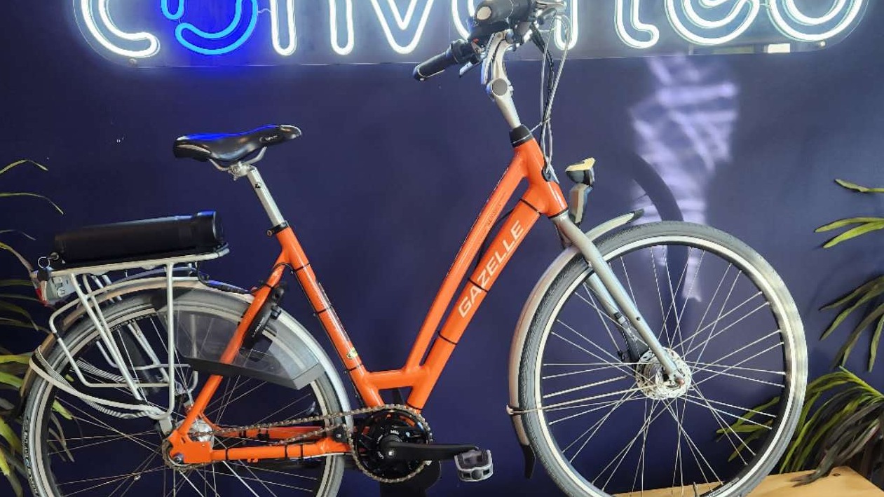 Gazelle Chamonix Pure electric bike conversion